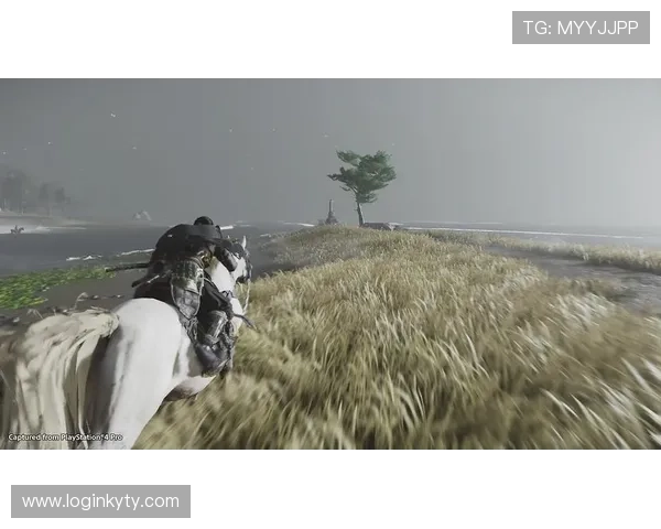 开云登录娱乐平台登录界面优化升级，提升用户体验让登录更便捷顺畅