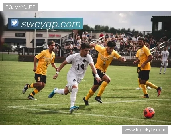 ky开云体育平台提供多样化的体育赛事直播和精彩赛事回放体验